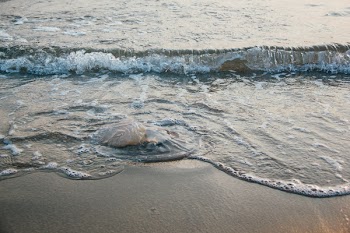 Body of Water