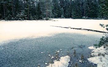 Body Of Water