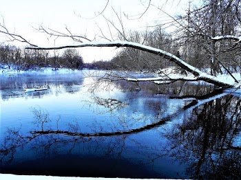 Body of Water