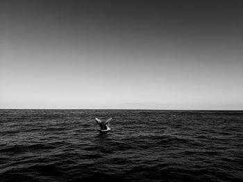 Body of Water