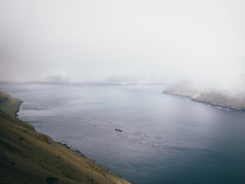 Body Of Water