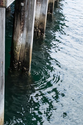 Body of Water