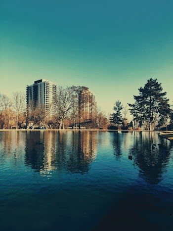Body of Water Across City Building