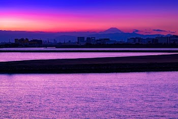 Body of Water and City during Golden Hour