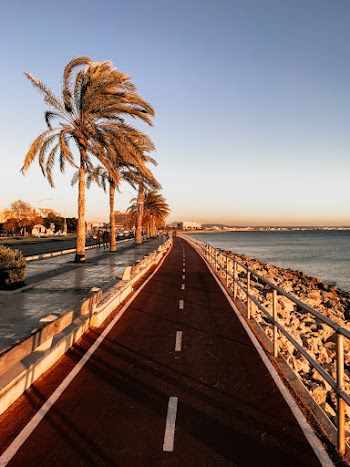 Body Of Water And Road