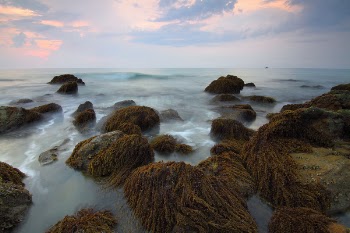 Body of Water and Stones