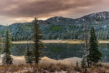 Body Of Water And Trees