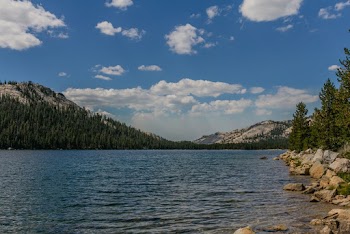 Body of Water and Trees