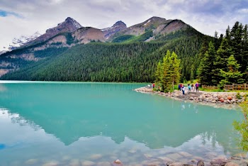 Body of Water and Trees