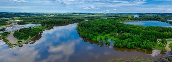 Body Of Water And Trees