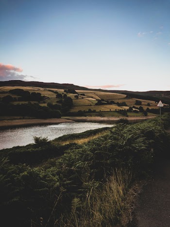 Body of Water Beside Farm Field