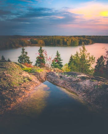 Body of Water Beside Green Trees 