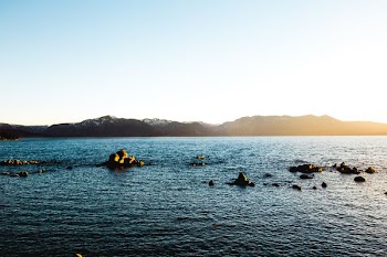 body of water beside island during daytime