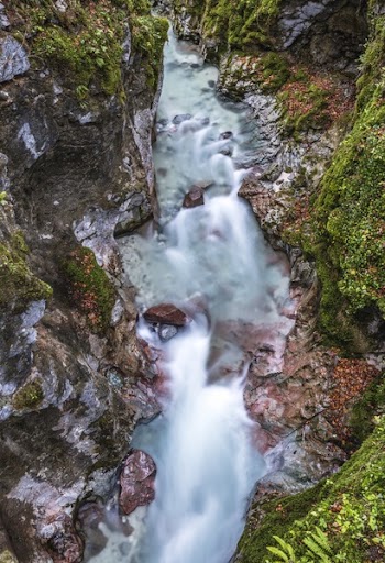 Body of Water Between Cliffs Covered With Moss