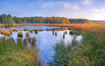 Body of Water Between Grasses