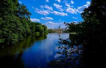 Body of Water Between Trees