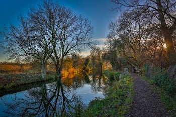 Body of Water by Trees