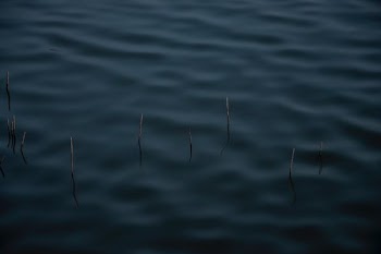 body of water during daytime