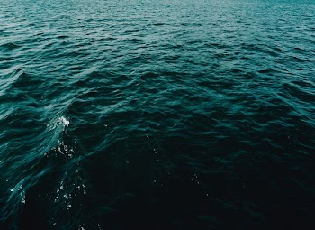 body of water during daytime