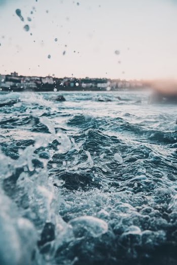 body of water during daytime