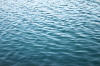 body of water during daytime