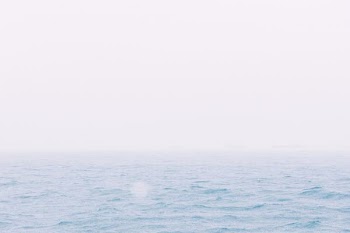 body of water during daytime photo