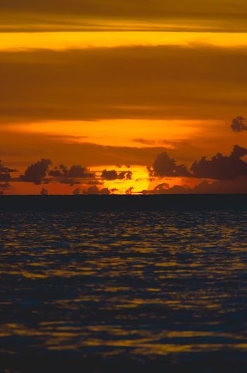 body of water during golden hour