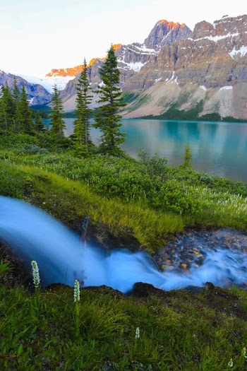 body of water, grass, and mountains during daytime