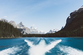 body of water in between forest during daytime