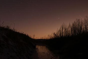 body of water in between grasses