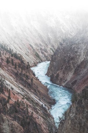 body of water in between mountains with trees