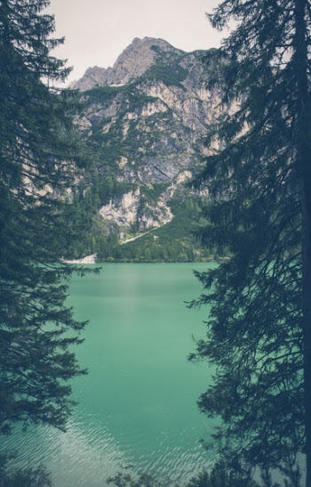 Body of Water, Mountain and Trees