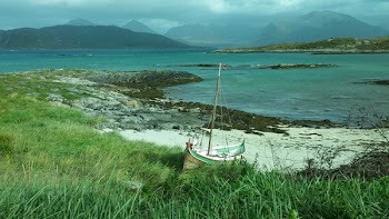Body of Water Near Grass
