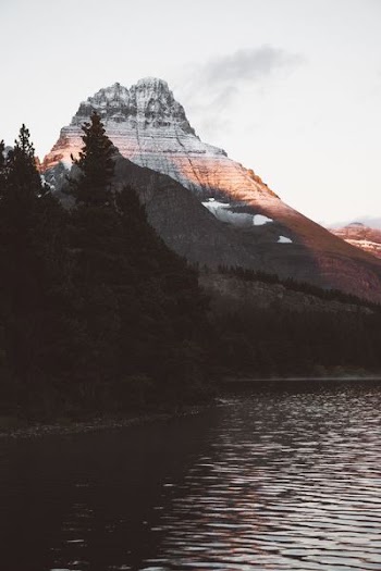 body of water near green trees