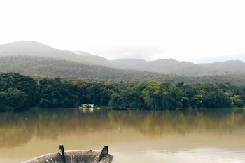 Body of Water Near Green Trees