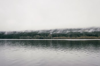 body of water near green trees under cloudy sky