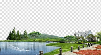 Body of water near on the green grass and white concrete house, Real Estate Poster House, Lake House leaves background material transparent background PNG clipart