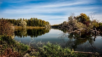 Body of Water Near Plant