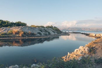 Body of Water Near Plants