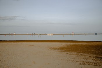 Body Of Water Near Shore