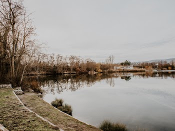 Body of Water Near Tree