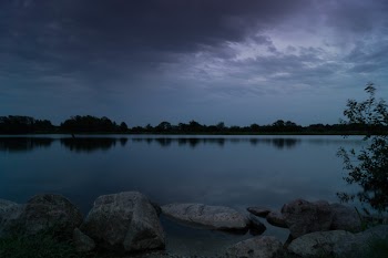 Body of Water Near Trees