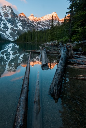 Body of Water Near Trees