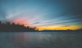 body of water near trees during golden hour