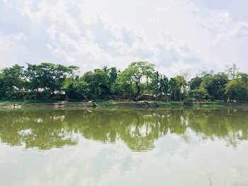 Body of Water Near Trees Under Cloudy Sky