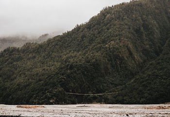 body of water overlooking green forest during daytime