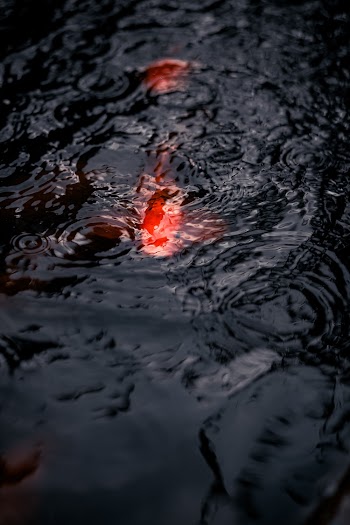 Body of Water Photograph