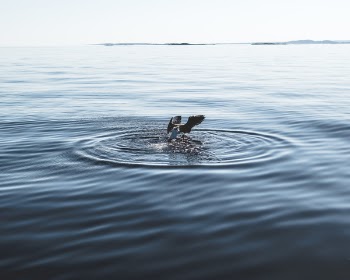 Body of Water Photography