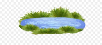 Body of water Pond Ornamental fish Clip art - others 