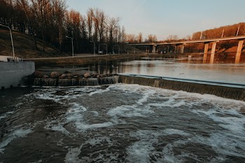 Body of Water Surround by Trees